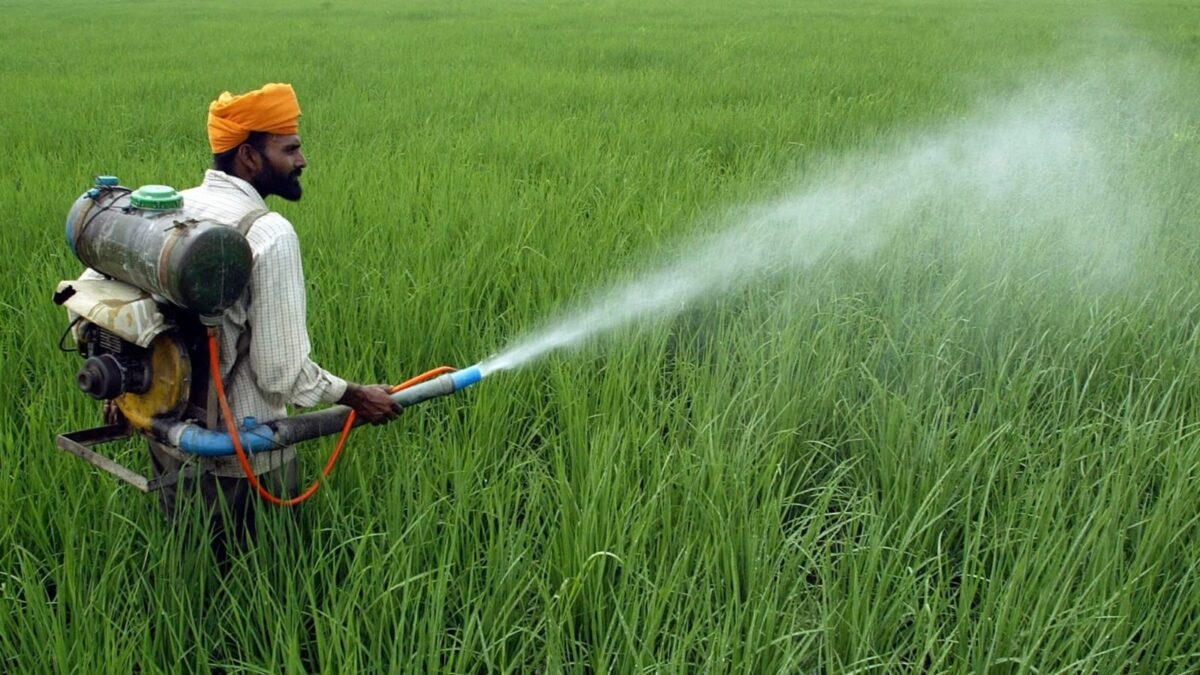 हरित क्रांति के बाद भारत के कृषि क्षेत्रों में सिंचाई और गेहूं उत्पादन का दृश्य