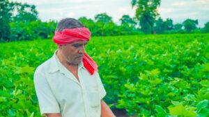 भारत–अमेरिका ट्रेड डील प्रभाव से चिंतित भारतीय किसान